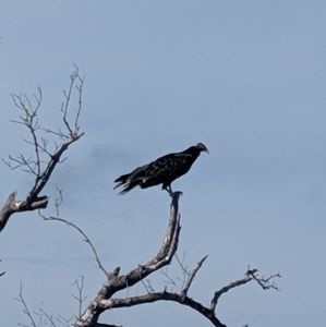 Meet your Posher, Jarrod